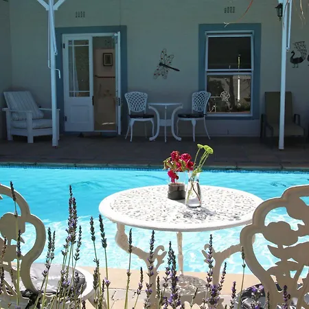 Paradiso Guesthouse & Self-Catering Cottage Cape Town Exterior photo